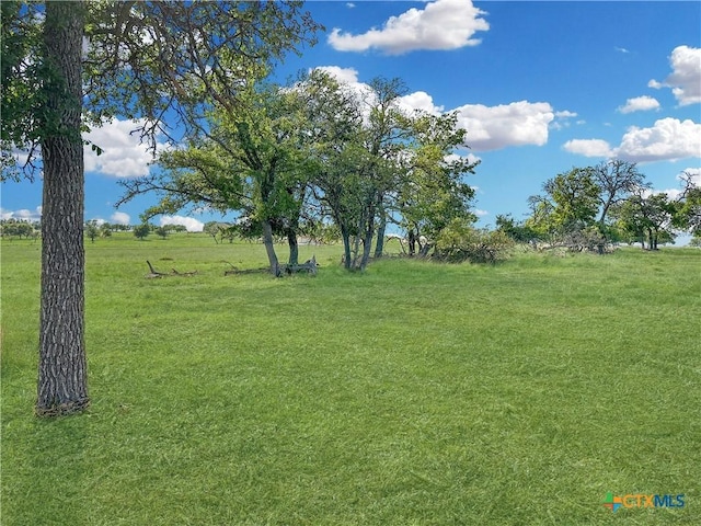55 Thriving Oak Dr, Fredericksburg, TX 78624 - photo 11