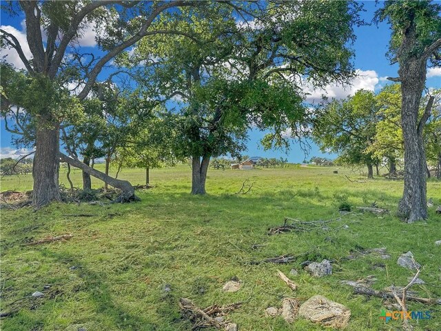 55 Thriving Oak Dr, Fredericksburg, TX 78624 - photo 9