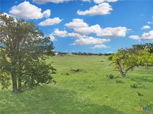 55 Thriving Oak Dr, Fredericksburg, TX 78624 - photo 17