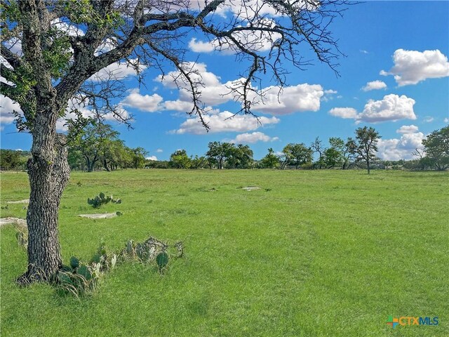 55 Thriving Oak Dr, Fredericksburg, TX 78624 - photo 10