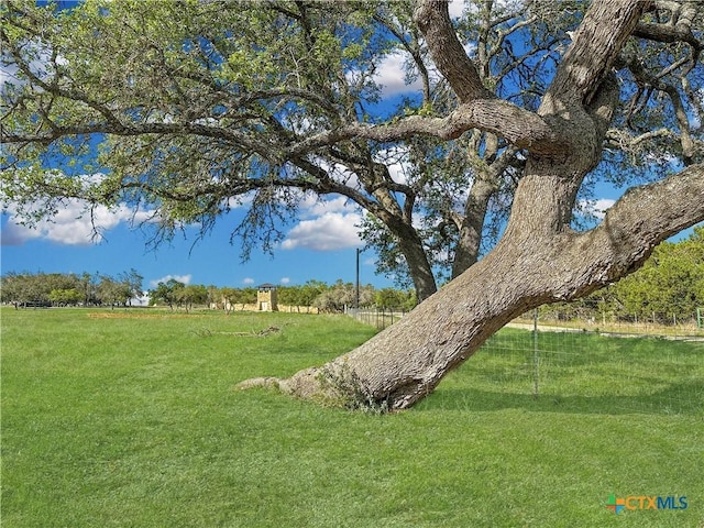 55 Thriving Oak Dr, Fredericksburg, TX 78624 - photo 4