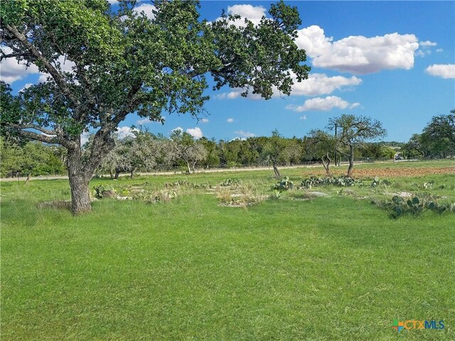 55 Thriving Oak Dr, Fredericksburg, TX 78624 - photo 16