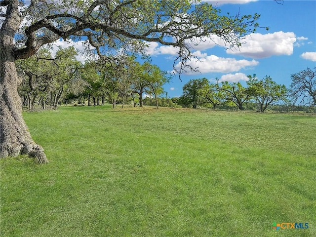 55 Thriving Oak Dr, Fredericksburg, TX 78624 - photo 19
