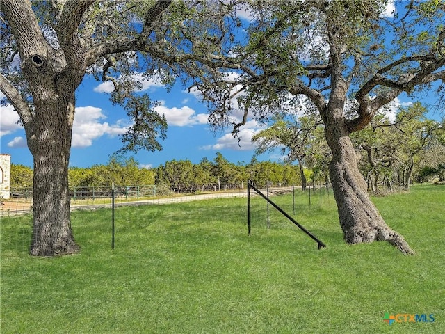 55 Thriving Oak Dr, Fredericksburg, TX 78624 - photo 5