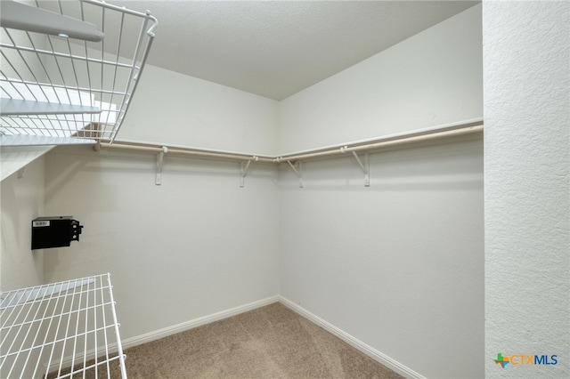 walk in closet with carpet