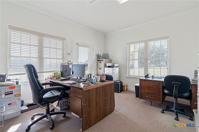 carpeted office space with plenty of natural light and ornamental molding