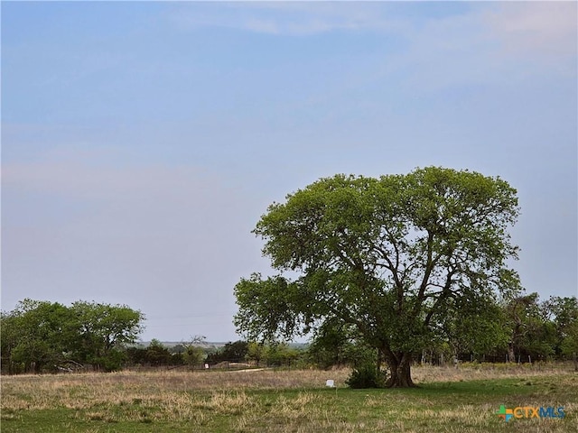 4390 County Road 220, Gatesville, TX 76528 - photo 1