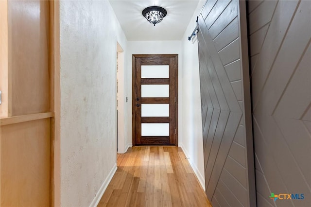 123 E Sierra Cir, San Marcos, TX 78666 - entryway with light wood-type flooring and baseboards