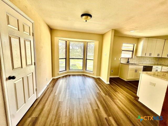kitchen with plenty of natural light, a sink, decorative backsplash, and dark wood-type flooring
