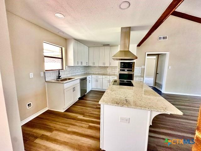 kitchen with a sink, backsplash, appliances with stainless steel finishes, exhaust hood, and visible vents