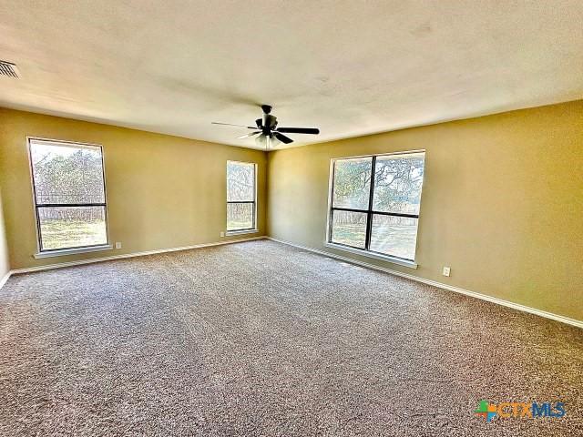 carpeted spare room featuring a wealth of natural light, visible vents, ceiling fan, and baseboards