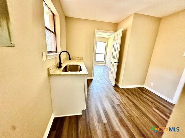 kitchen featuring light countertops, a sink, dark wood-type flooring, and a wealth of natural light