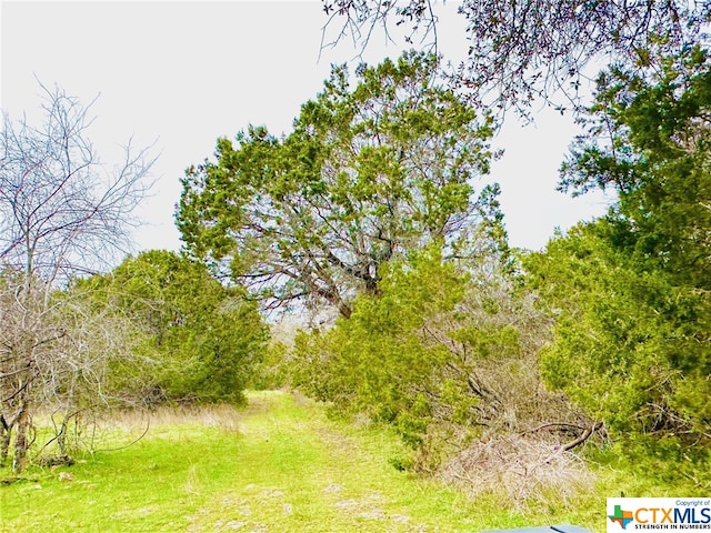 Listing photo 2 for TBD2 County Rd 107, Gatesville TX 76528