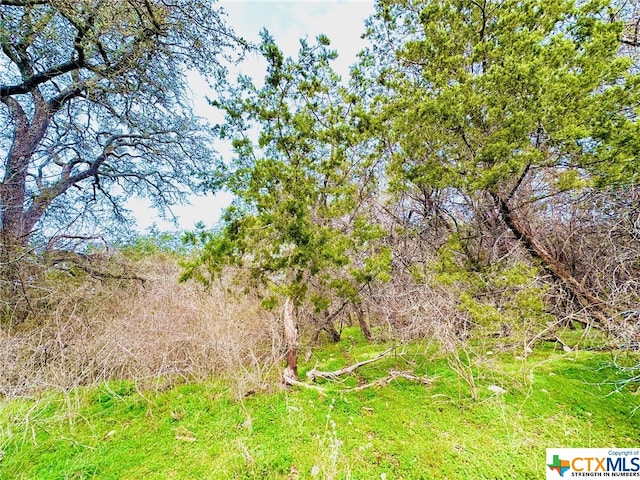 TBD2 County Rd 107, Gatesville, TX 76528 - photo 7