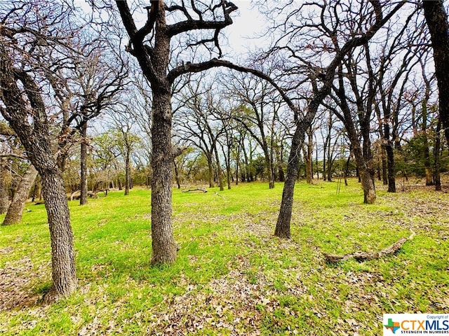 TBD2 County Rd 107, Gatesville, TX 76528 - photo 6