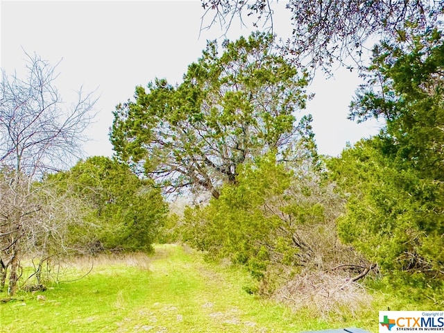 TBD2 County Rd 107, Gatesville, TX 76528 - photo 3