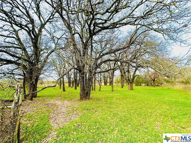 TBD2 County Rd 107, Gatesville TX, 76528 land for sale