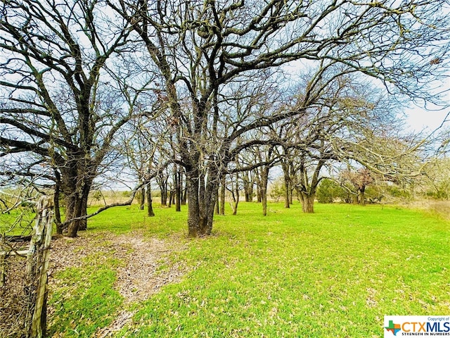 TBD2 County Rd 107, Gatesville, TX 76528 - photo 1