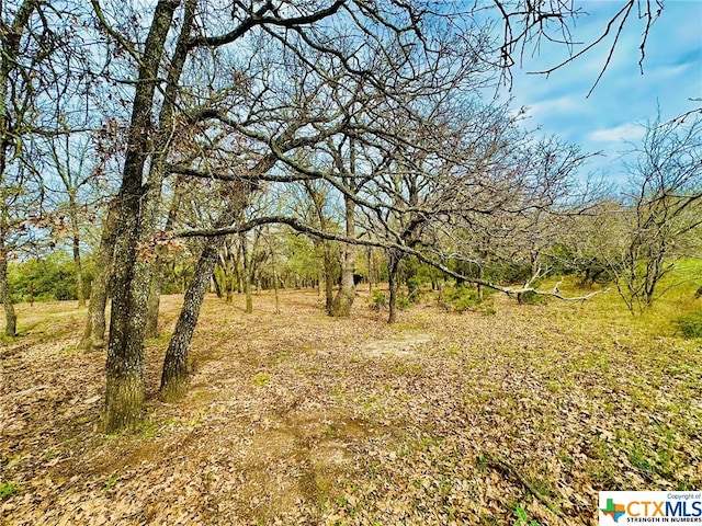 TBD2 County Rd 107, Gatesville, TX 76528 - photo 9