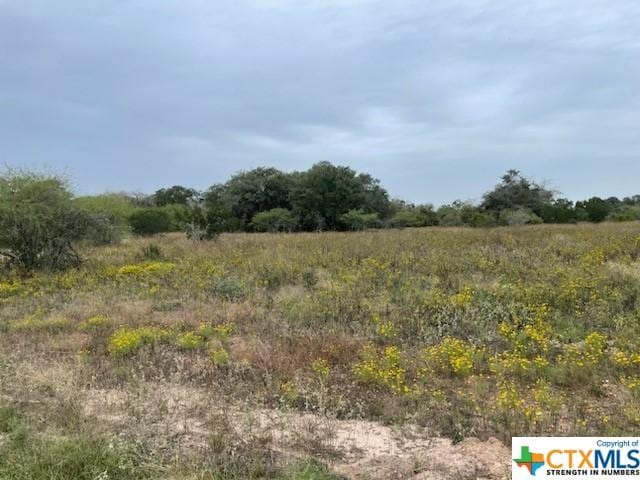 000 Fm 236, Victoria TX, 77905 land for sale