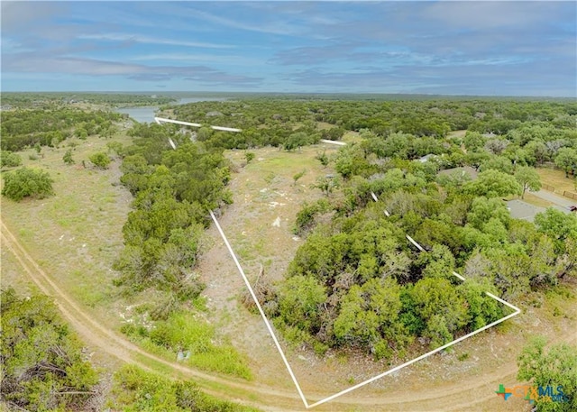 29 Artesian Dr, Belton, TX 76513