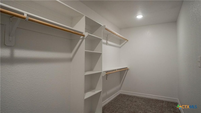 spacious closet featuring dark colored carpet