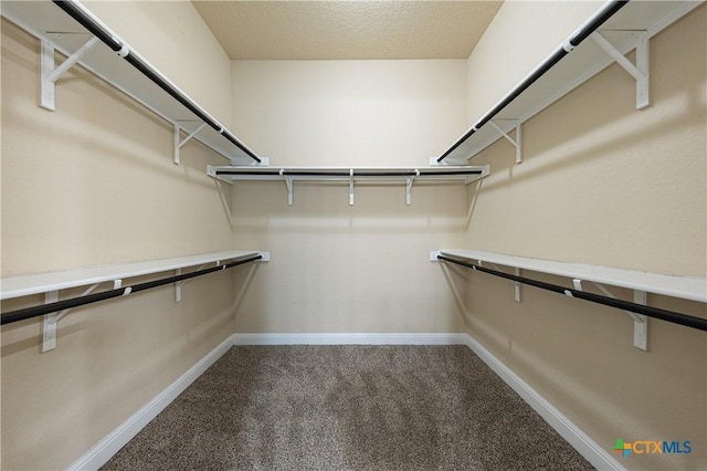 26815 Tulip Mdw, Boerne, TX 78015 - walk in closet with carpet floors