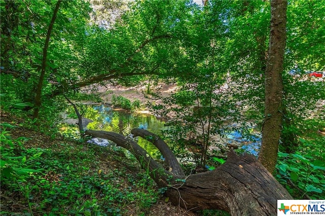 view of local wilderness featuring a water view