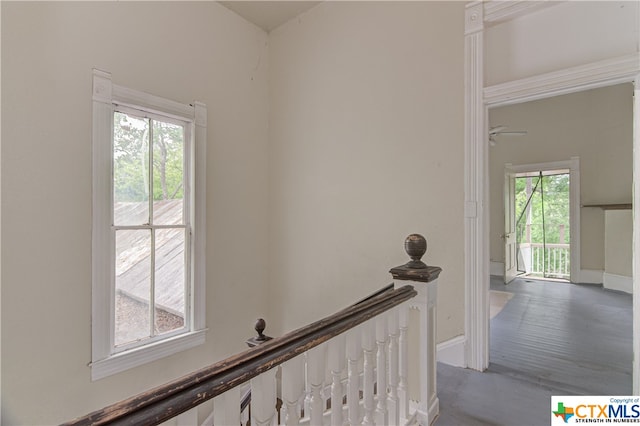 interior space with hardwood / wood-style floors