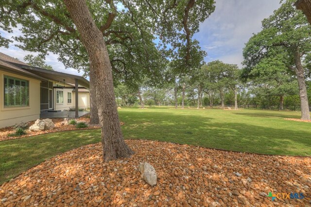 388 Butternut Way, New Braunfels, TX 78132 - photo 36