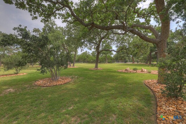 388 Butternut Way, New Braunfels, TX 78132 - photo 33