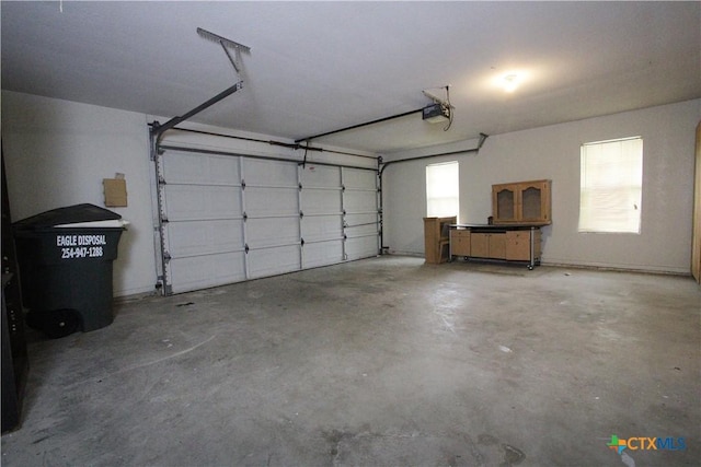 2216 Smith Bluff Rd, Salado, TX 76571 - garage with a garage door opener
