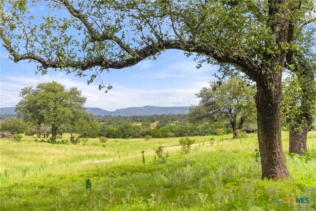 9069-39 Ranch Road 1323, Fredericksburg, TX 78624 - photo 2