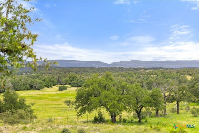 9069-39 Ranch Road 1323, Fredericksburg, TX 78624 - photo 4