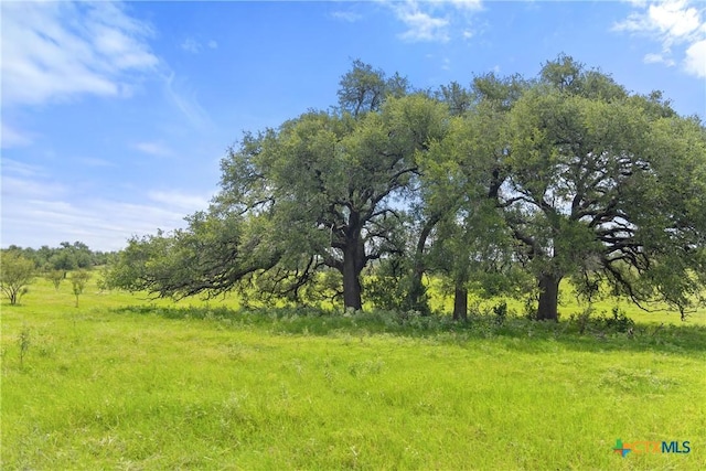 9069-39 Ranch Road 1323, Fredericksburg, TX 78624 - photo 7