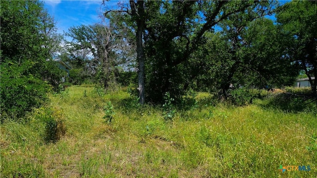 4009 County Road 122, Marble Falls, TX 78654 - photo 4