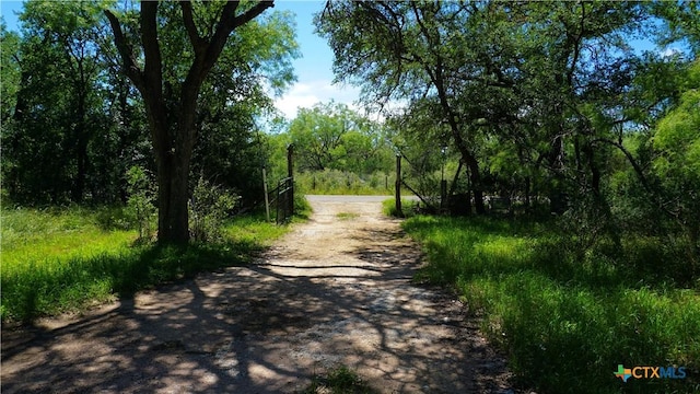4009 County Road 122, Marble Falls, TX 78654 - photo 2