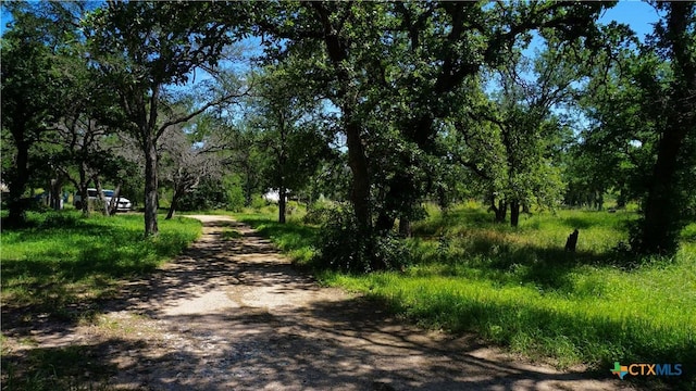 4009 County Road 122, Marble Falls, TX 78654 - photo 7