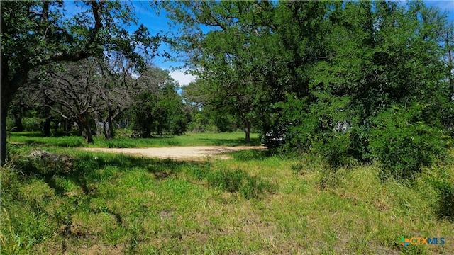 4009 County Road 122, Marble Falls, TX 78654 - photo 5