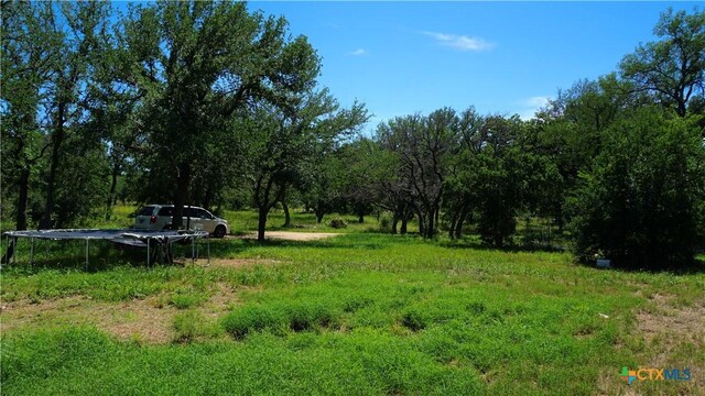 4009 County Road 122, Marble Falls, TX 78654 - photo 3