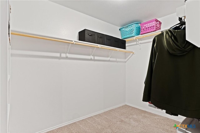 walk in closet with light colored carpet