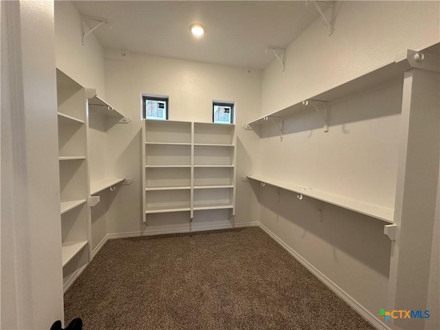 walk in closet featuring dark colored carpet