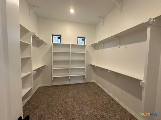 walk in closet with dark carpet