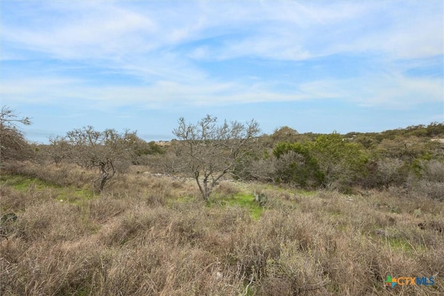 500 Havasu Pt, Spring Branch, TX 78070