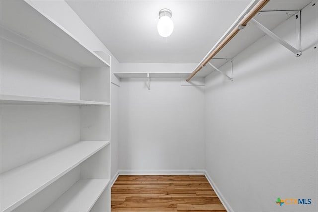 spacious closet featuring wood finished floors