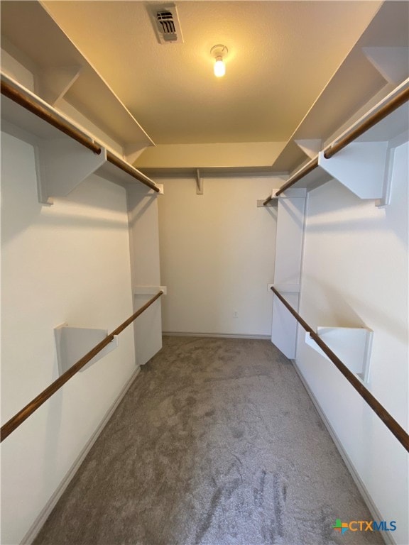 spacious closet with carpet flooring