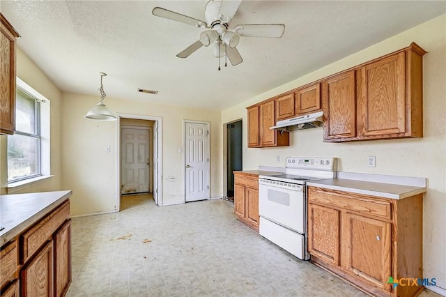 316 Timber Ridge Dr, Nolanville, TX 76559 - photo 5