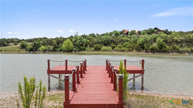 dock area featuring a water view