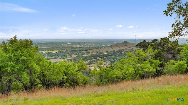 view of local wilderness