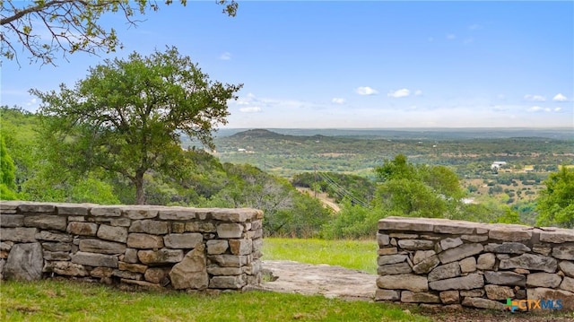 view of yard featuring a mountain view